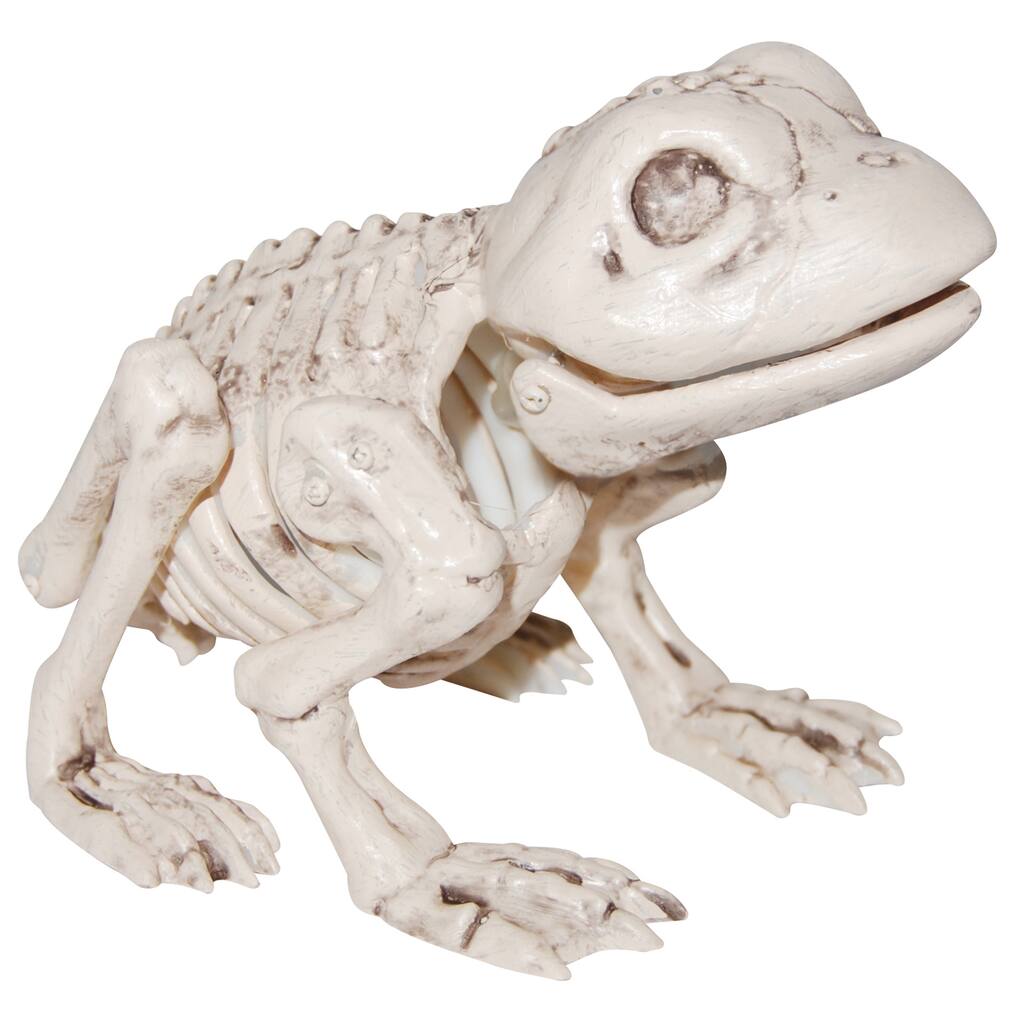 10553631.jpg img